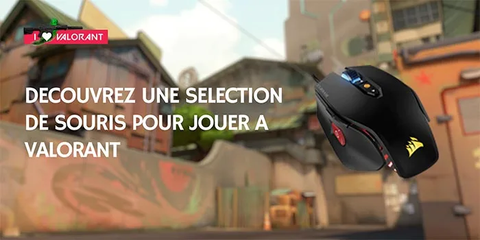 Voir notre sélection de souris pour Valorant