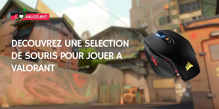 souris valorant